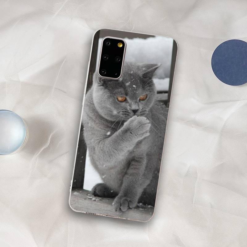 British Shorthair cat Phone Case for Samsung S21 A10 for Redmi Note 7 9 for Huawei P30Pro Honor 8X 10i cover