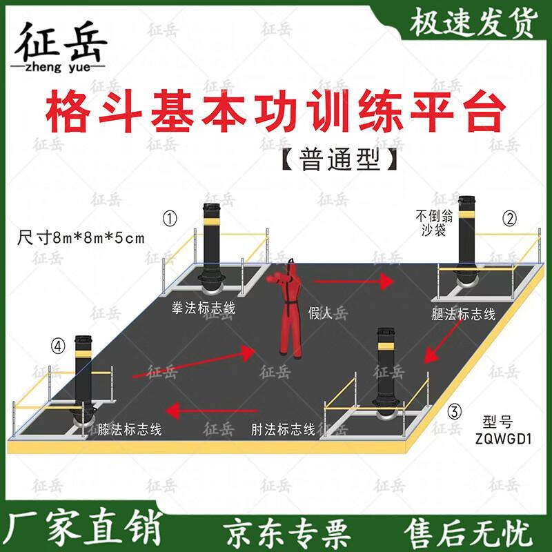 Zhengyue Combat Basic Skills Training & Assessment System