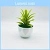 Plastic Succulent Fake Plant Pot For Home Decor And Gift