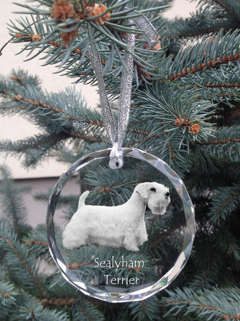 Sealyham Terrier, Welsh Border Terrier – Crystal Bauble with a Photo, Dog Photo In Crystal | Art-Dog