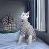 Thick Floral Cotton Coat for Female Cat In Autumn Long Sleeved Soft T-shirt for Kittens Sweet Pajamas for Hairless Cat In Spring