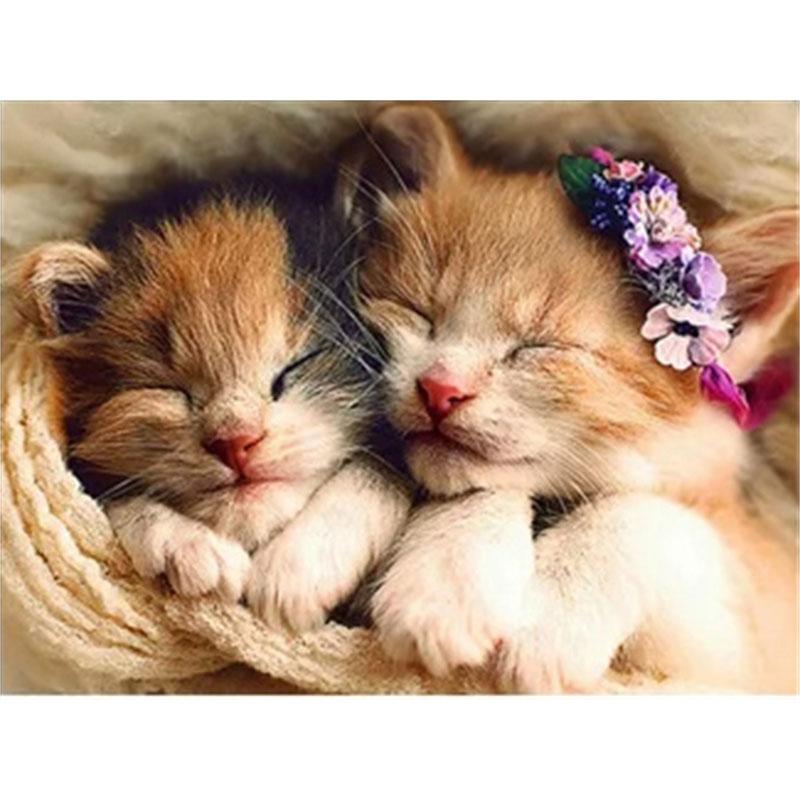 DIY Diamond Painting Kitten Cross Stitch Kit Mosaic Art Diamond Painting Full Circle/Square Diamond Home Decoration