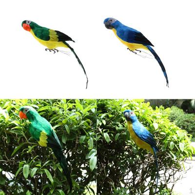 2 Pcs Large Artificial Parrot Bird Home Decor Budgie Taxidermy A+B