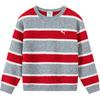 Kids Sweaters Crew Neck Thickened 353426103204-00362