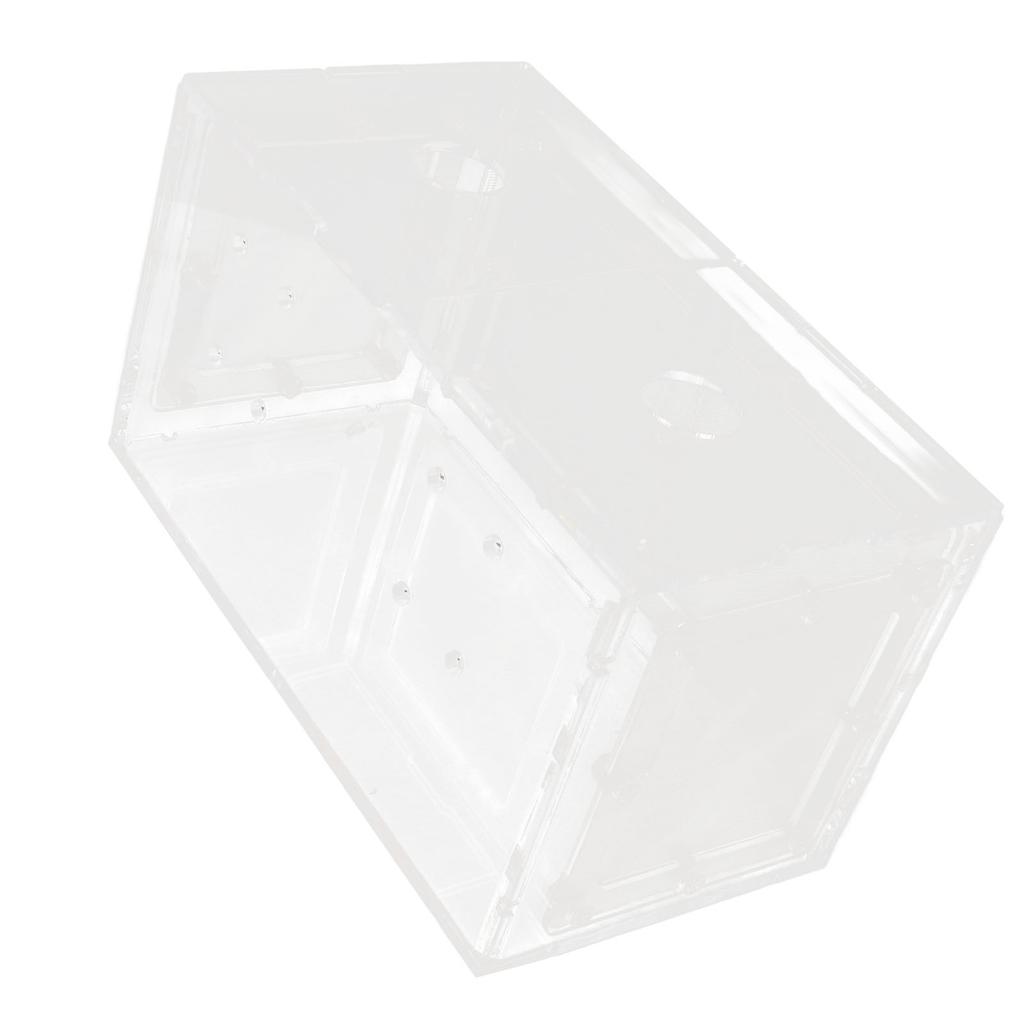 Fischzucht Isolierbox Transparente Netzseite Fischtank Inkubator für Aquarium Kleine Fische