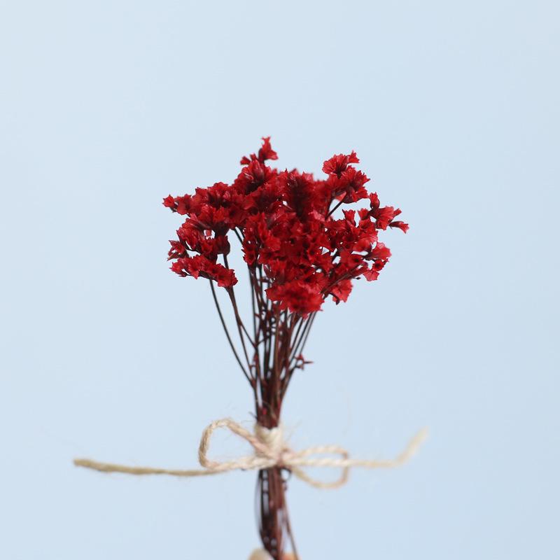 12cm Preserved Flower Boutonniere: Mini Bouquet for Bride, Bridesmaid, Wedding, Gift Box, Party Favor Decoration