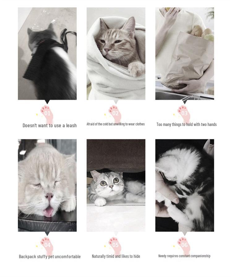 Portable Foldable Pet Backpack: Breathable Cat & Small Dog Carrier