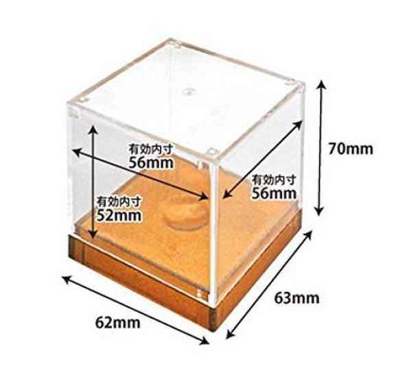 Izumi Kasei Display Case for Golf Black 3179BK Balls,