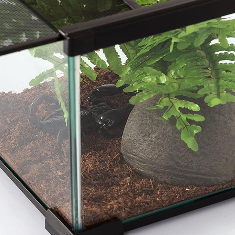 Repti-Zoo Terrarium Ak 21X31X15