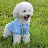Koszulka dla psa Miękka oddychająca odzież dla psów/kotów Kolorowa koszulka dla szczeniąt Ubrania dla małych i średnich psów Puppy