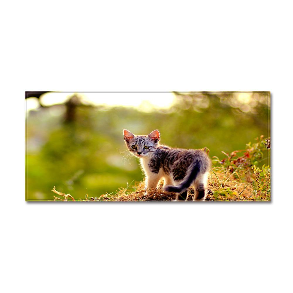 Animal Sand Wardrobe Shoe Cabinet Long Floor Mat