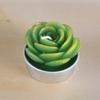 New simulation succulent plant candles, rose candles, 44 product combinations, and special-shaped paraffin candles