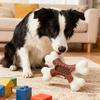 Cross-Border Hot Sale Dog Toy Simulation Bone Dog Chew Large Dog Teething Stick Best-Selling for Shenzhen
