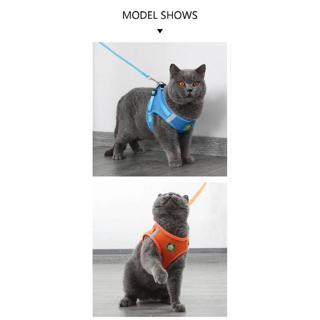 Reflective Pet Cat Harness Vest Leash Set Breathable Mesh Puppy Harnesses Adjustable Lead Leashes for Dogs Cats Supplies
