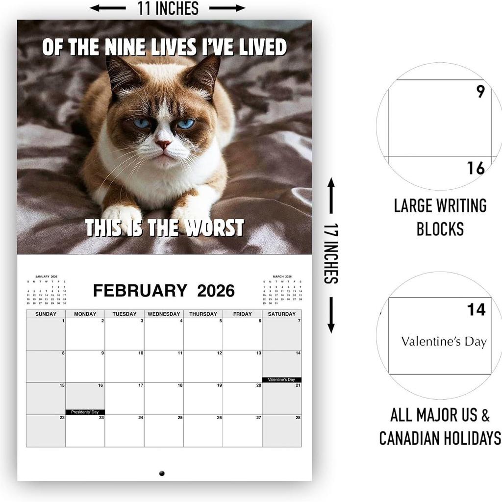 2025 New Pissed-Off Cat Calendar Wall Calendar Cute Desk Accessories Creative Cat Calendar Art Calendar For Home Office