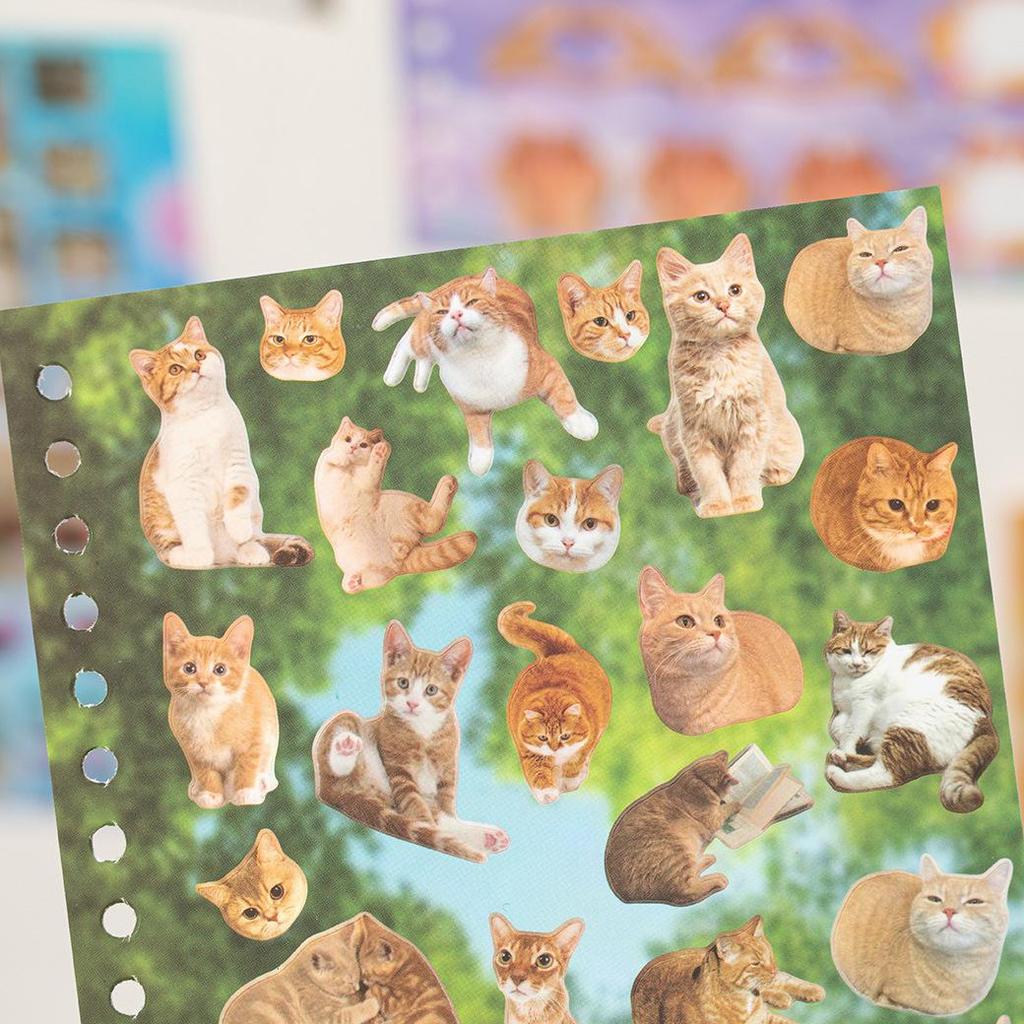 Yu Xian Cute Pet Battle Screen Protector & Journal Decor Sticker Book