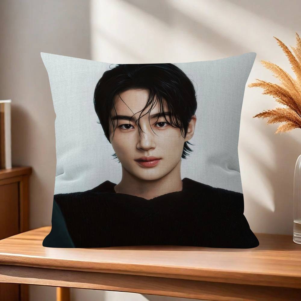 Korean Celebrity Byeon Wooseok   Pillowcase toon Gift Cushion Cover Bedroom Home Sofa Chair Seat Decor pillow case