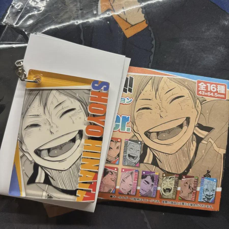 

Haikyu Zhongfu Shop Брелок Улыбающийся Хината