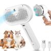 Pieptene pentru păr cu spray pentru animale de companie Dispozitiv de îndepărtare a părului pentru animale de companie Perie de curățare pentru îngrijirea pisicilor Accesorii pentru câini Unelte pentru demachiere Pieptene pentru umidificator pentru ceață de apă