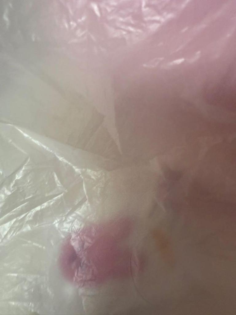 [USED] StrayKids Seoul Concert SKZOO BABY Ver. Toekki