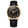 Quartz Men's Luminous Swiss Luxury Leather Strap Watch