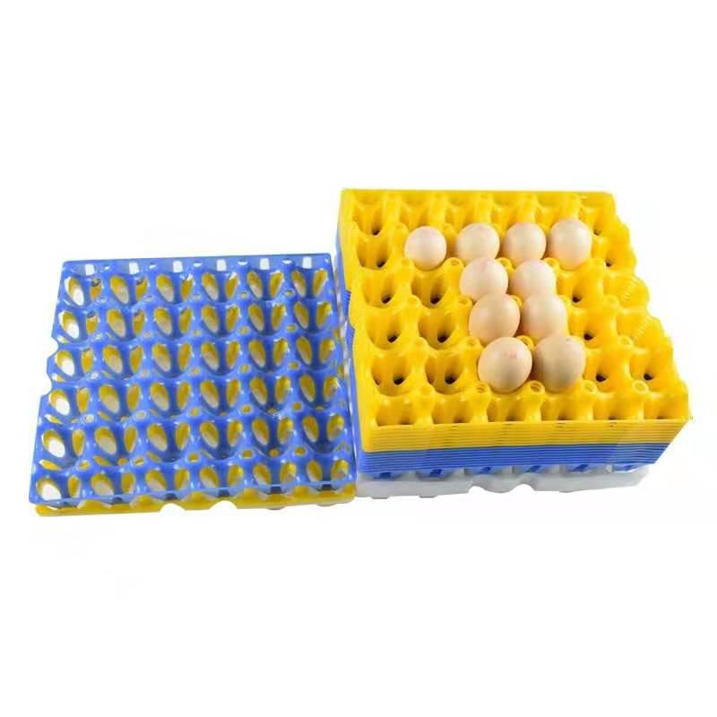 Plastic Stackable Colored Egg Tray for Transportation and Incubation