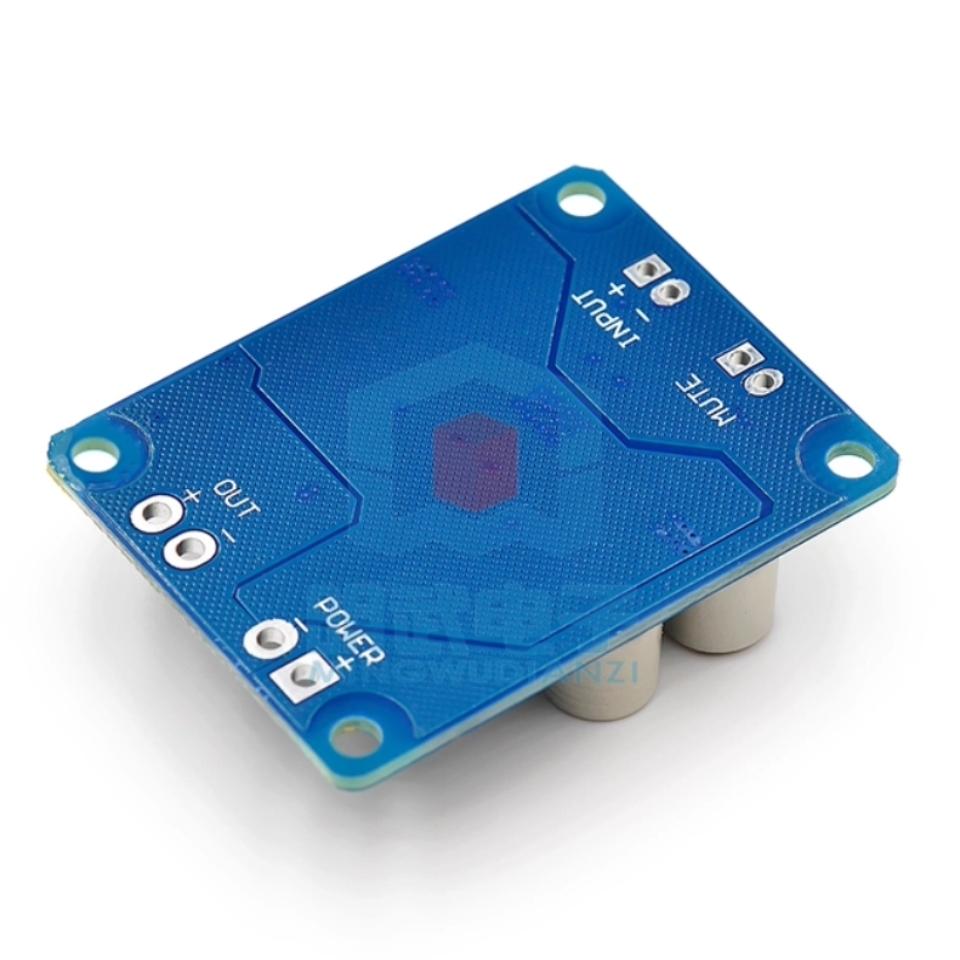TPA3118 60W DC 12V-24V Mono Digital Audio Power Amplifier Board Amp Module