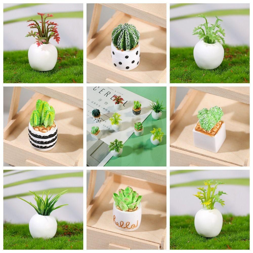 

High Imitation Simulation Cactus Strong Leaves Plant Potted Mini Plant Model Home Decor