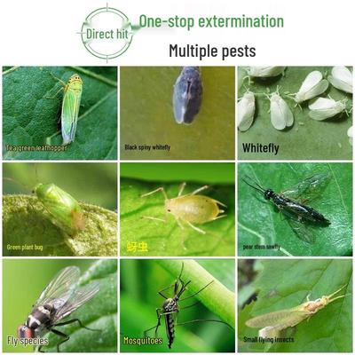 Piège Collant Double Face Jaune et Bleu pour Insectes Horticoles pour Serres et Arbres Fruitiers