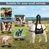 Animal Weighing Sling Livestock Hanging Scale Sling Nylon Mesh Breathable for Lambs Goats Baby Alpacas Newborn Poultry Pets
