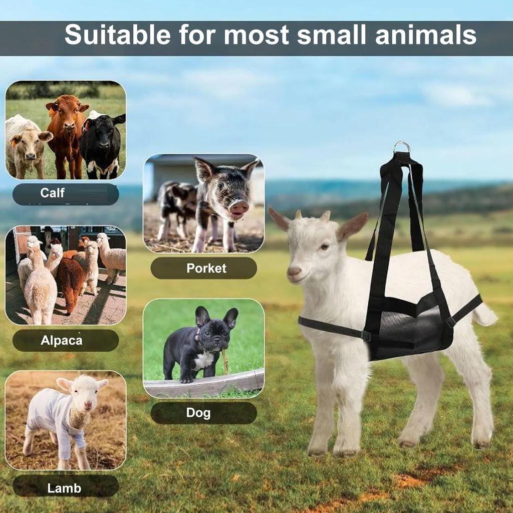 Animal Weighing Sling Livestock Hanging Scale Sling Nylon Mesh Breathable for Lambs Goats Baby Alpacas Newborn Poultry Pets