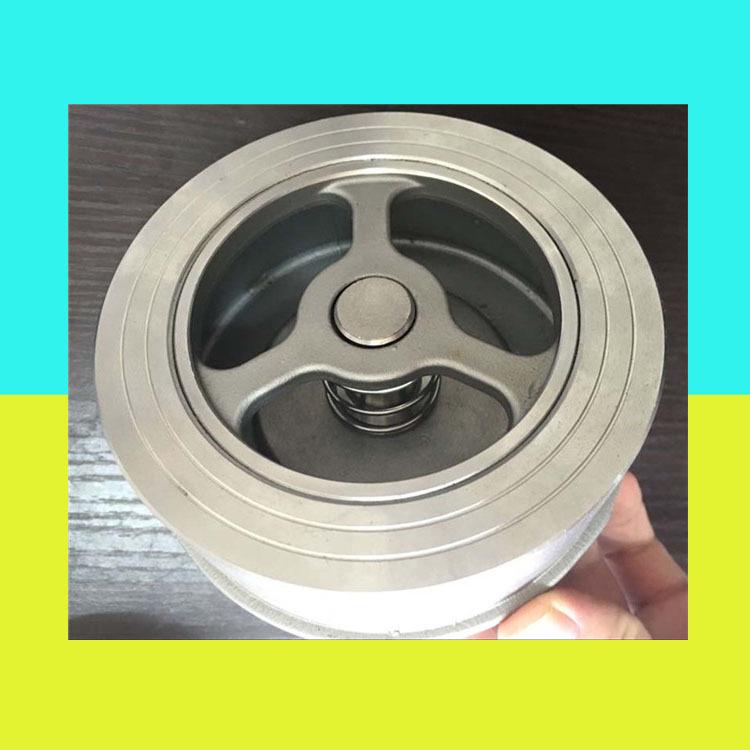 304 Stainless Steel Wafer Check Valve H71W DN32-DN80