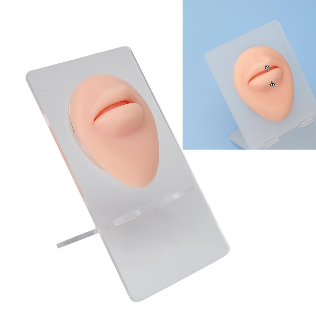 Silicone Lips Model 3D High Simulation Lifelike Elastic Lip Piercing Tattoo Practice Fake Lip Model for Training