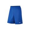 Nike Casual Shorts Men's Blue Moderate 725903-463