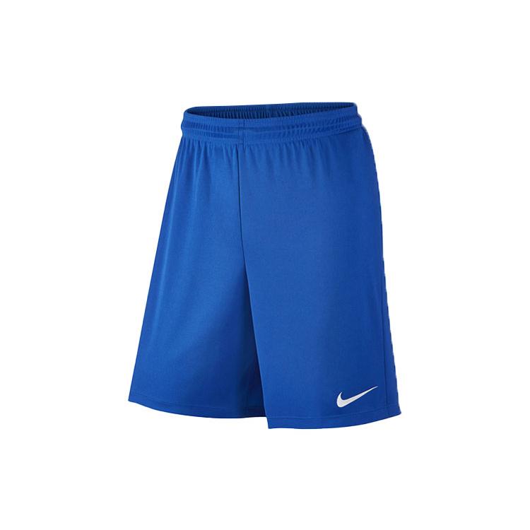 Nike Casual Shorts Men's Blue Moderate 725903-463
