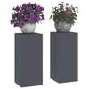 Plant Stand 2 Pcs Anthracite 24 X 24 X 55 Cm Steel