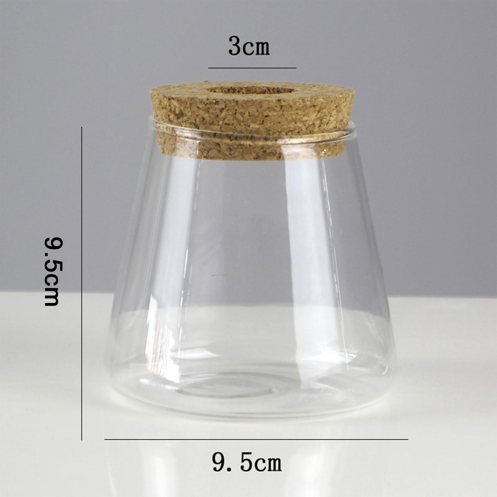 Transparent Hydroponic Flower Pot Plant Creative Mini Terrarium Potted Soilless Home Glass Vase Home Office Decoration Gift