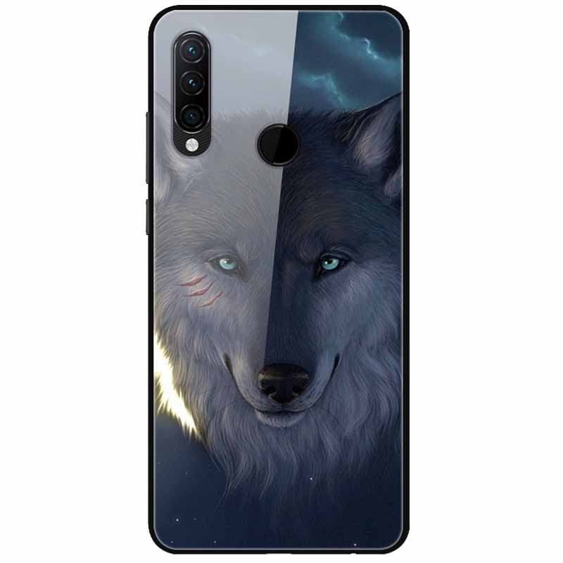 For Huawei P30 Pro Lite Case Cool Tempered Glass Luxury Coque Covers for Huawei P20 Lite P 20 P20Pro P30Pro P 30 Hard Back