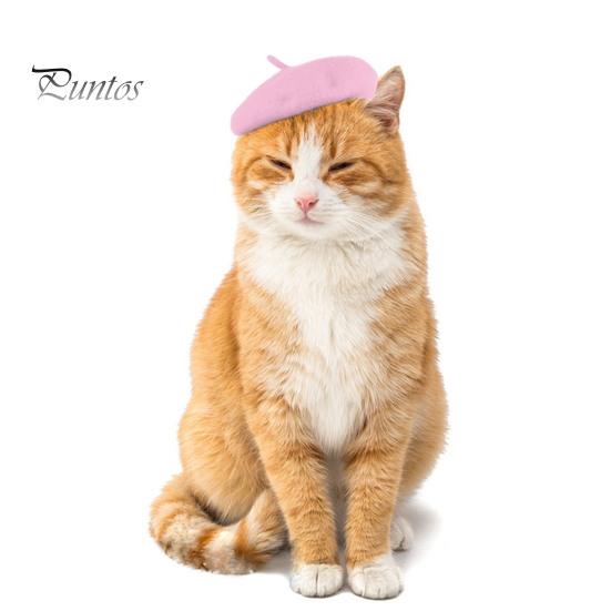 Haustiermütze, verstellbar, süße Katzen-Baskenmütze, bequem, weich, Hundekostüm, Kopfbedeckung, Foto-Requisiten, Haustier-Mode-Accessoires