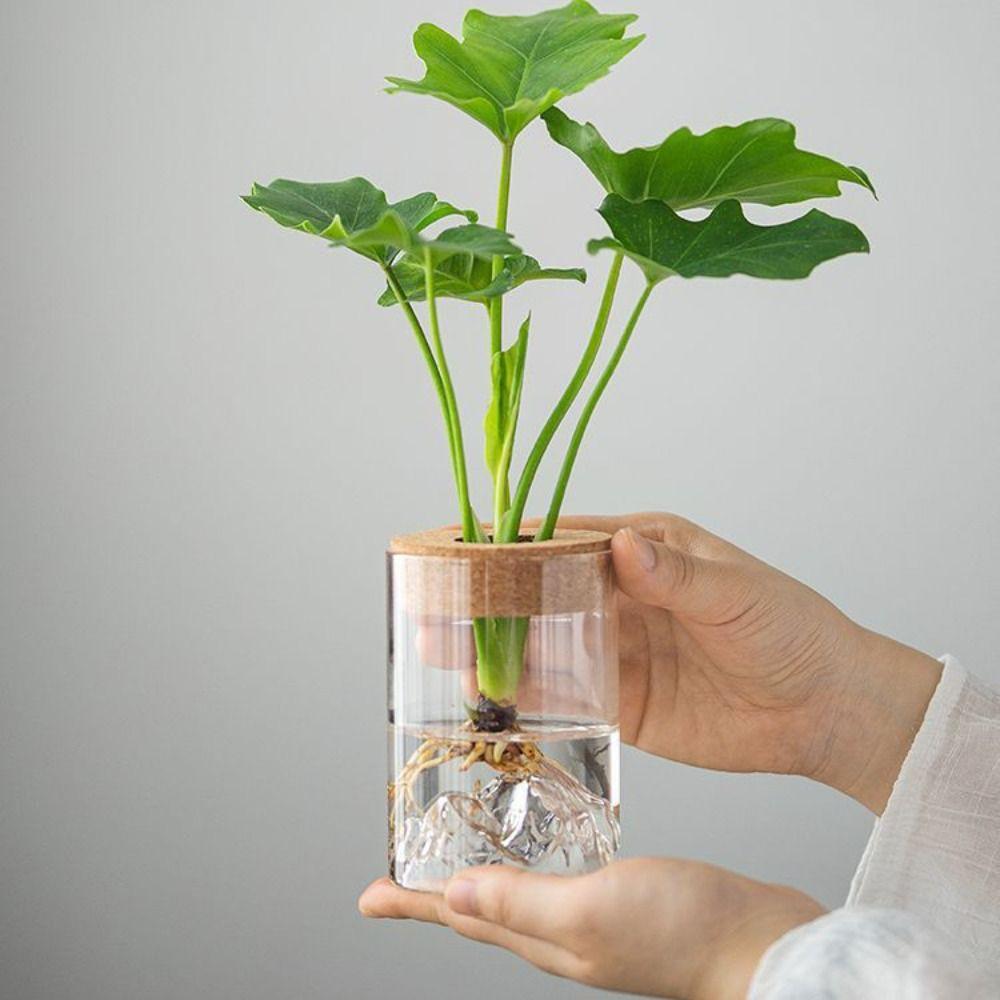 

Transparent Flower Vase Thickened Mountain Viewing Bottle Hydroponic Flower Holder Desktop S прозорий