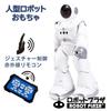 ROBOT PLAZA Humanoid Robot Toy, Walks, Speaks English, Kids' Toy, Boys' Birthday Gift, Educational Toy, Rechargeable, Japanese Instruction Manual