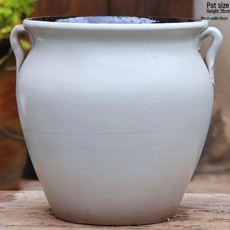 Extra Large Ceramic Succulent & Flower Pot for Trees and Plants