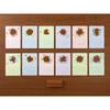 Midori 2026 Limited Seasonal Desktop Calendar with Floral 31368006 Calendar, Edition, Bookmark, Design,