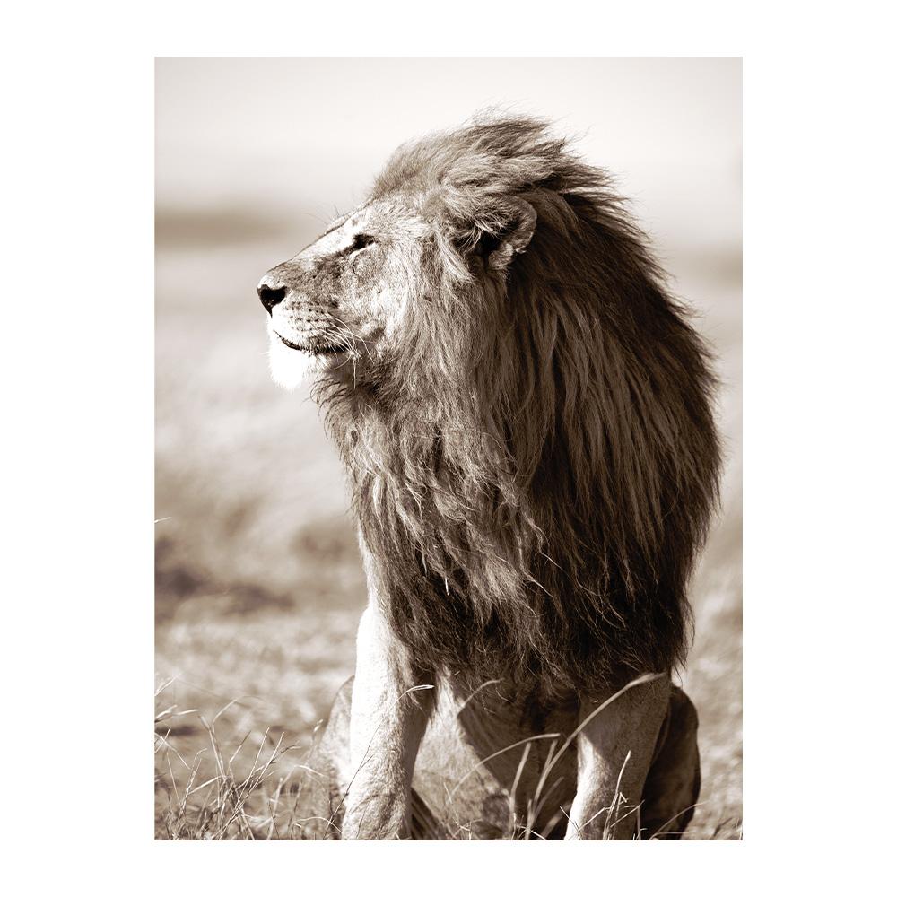 

Лев Леопард Природа Полотно Картина Очерет Бежевий Скандинавський Декоративне Настінне Мистецтво Постер Друк Пейзажні Зображення для Вітальні 30x40cm