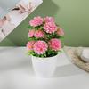 Flower Pot Plastic With Twelve Ball Chrysanthemum For Indoor Decoration