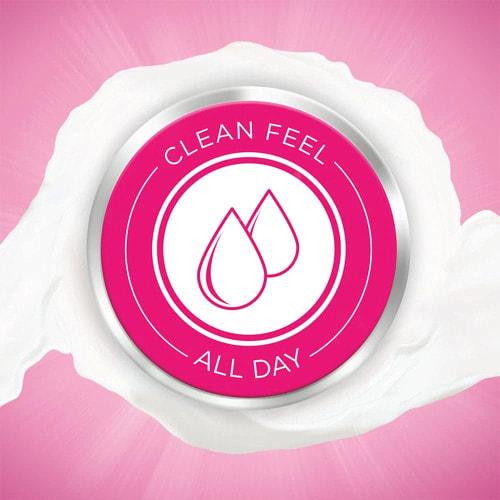 Lactacyd Feminine Hygiene Feminine Wash All-Day Care 150ml X 4 [Ships Directly from Overseas]