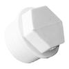Wenstan PVC Threaded Pipe Plug