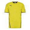 Puma Mens King Training T-Shirt