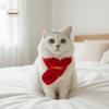 Festive Warm Cat Knitted Scarf Red Color Blessing Pet Neck Scarf Cute New Year Dog Scarf Pet Show