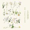 40 Pcs Kawaii Creative Flower Plant Stickers Hand Tent DIY Stick Labels Scrapbooking Material Junk Journal Supplies
